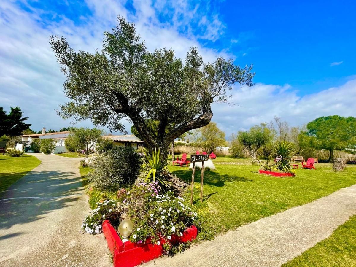 Mas Des Salicornes Hotel Saintes-Maries-de-la-Mer Kültér fotó